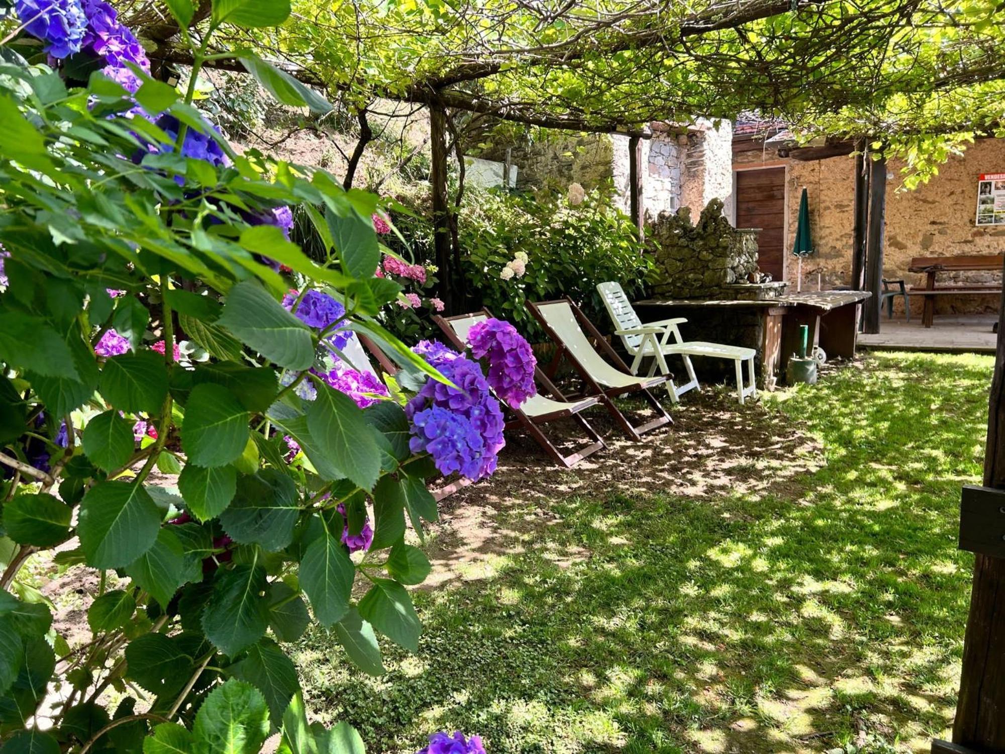 Villa Il Frutteto Stazzema Esterno foto
